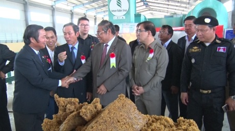 Cao su Chư Sê – Kampong Thom khánh thành nhà máy chế biến lớn nhất Đông Nam Á